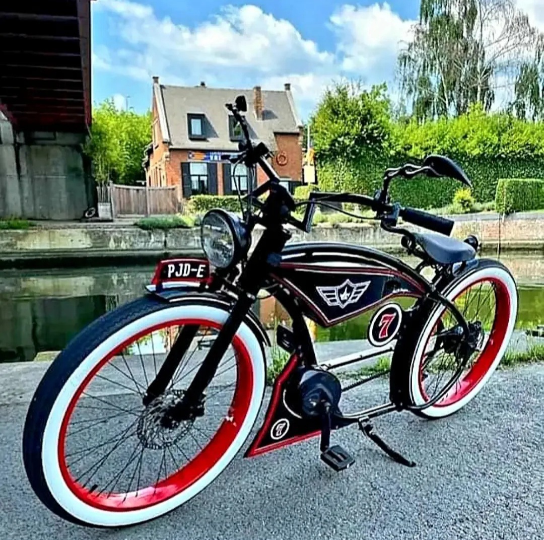The Ruffian PJD-E - E-motionbikes