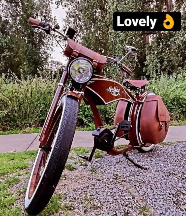 The Ruffian Vintage Brown - E-motionbikes